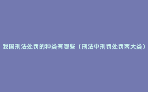 我国刑法处罚的种类有哪些（刑法中刑罚处罚两大类）