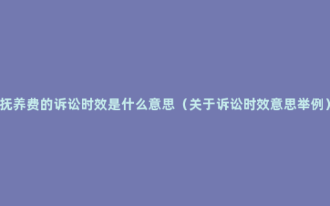 抚养费的诉讼时效是什么意思（关于诉讼时效意思举例）
