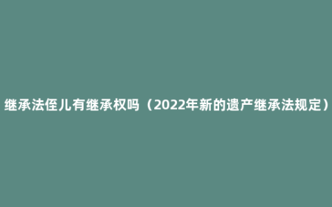 继承法侄儿有继承权吗（2022年新的遗产继承法规定）