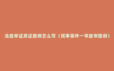 法庭举证质证提纲怎么写（民事案件一审庭审提纲）