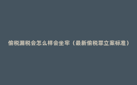 偷税漏税会怎么样会坐牢（最新偷税罪立案标准）