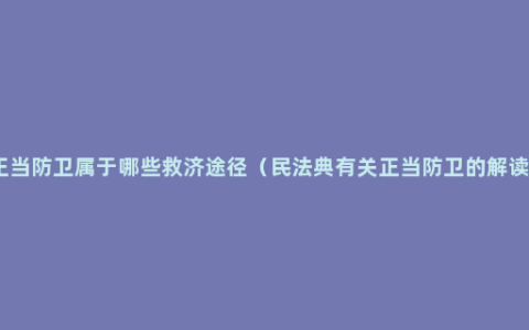 正当防卫属于哪些救济途径（民法典有关正当防卫的解读）