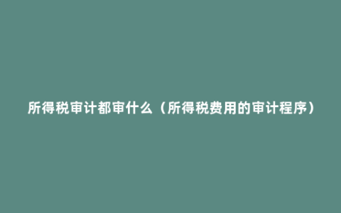 所得税审计都审什么（所得税费用的审计程序）
