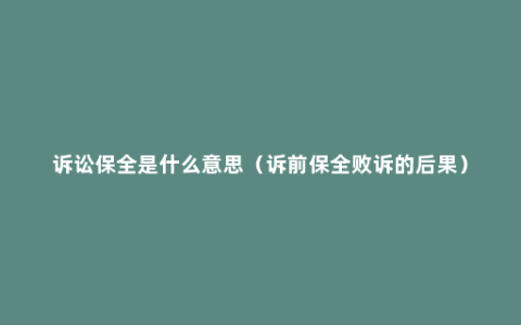 诉讼保全是什么意思（诉前保全败诉的后果）