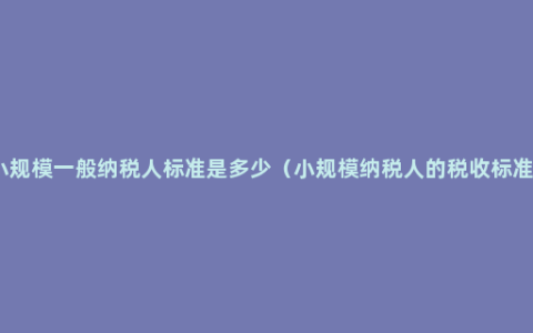 小规模一般纳税人标准是多少（小规模纳税人的税收标准）