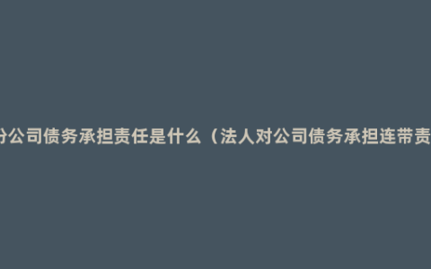 股份公司债务承担责任是什么（法人对公司债务承担连带责任）