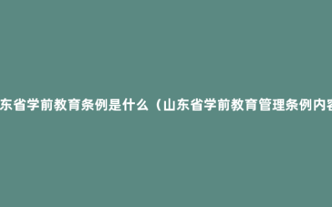 山东省学前教育条例是什么（山东省学前教育管理条例内容）