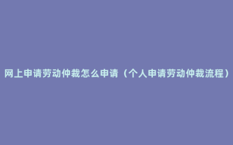 网上申请劳动仲裁怎么申请（个人申请劳动仲裁流程）