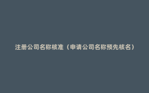 注册公司名称核准（申请公司名称预先核名）
