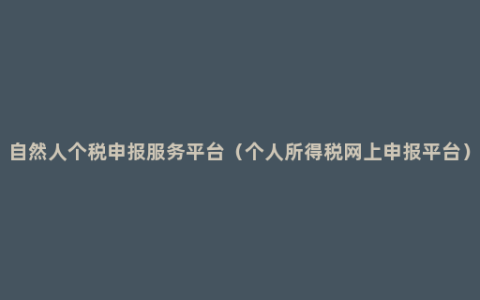 自然人个税申报服务平台（个人所得税网上申报平台）