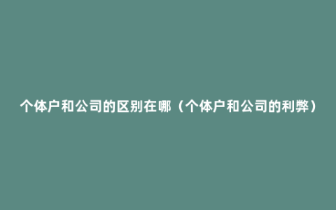 个体户和公司的区别在哪（个体户和公司的利弊）