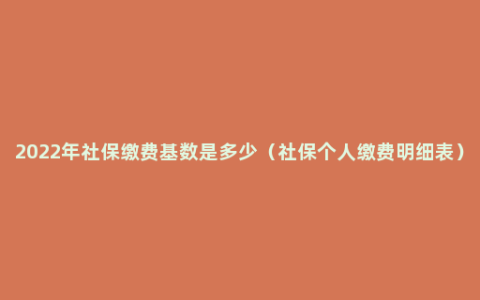 2022年社保缴费基数是多少（社保个人缴费明细表）