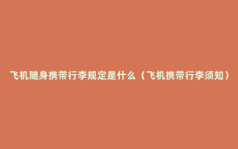 飞机随身携带行李规定是什么（飞机携带行李须知）