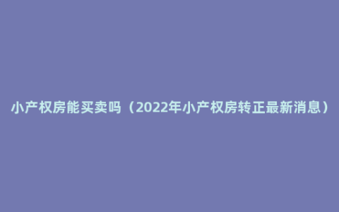 小产权房能买卖吗（2022年小产权房转正最新消息）