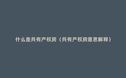 什么是共有产权房（共有产权房意思解释）