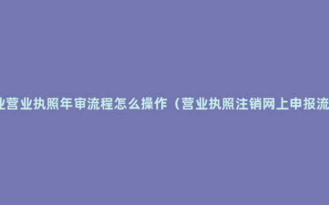 企业营业执照年审流程怎么操作（营业执照注销网上申报流程）