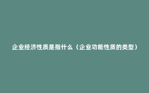 企业经济性质是指什么（企业功能性质的类型）