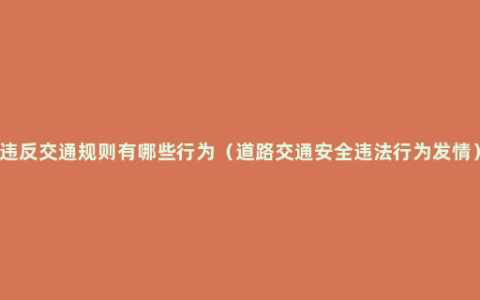 违反交通规则有哪些行为（道路交通安全违法行为发情）