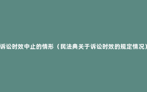 诉讼时效中止的情形（民法典关于诉讼时效的规定情况）