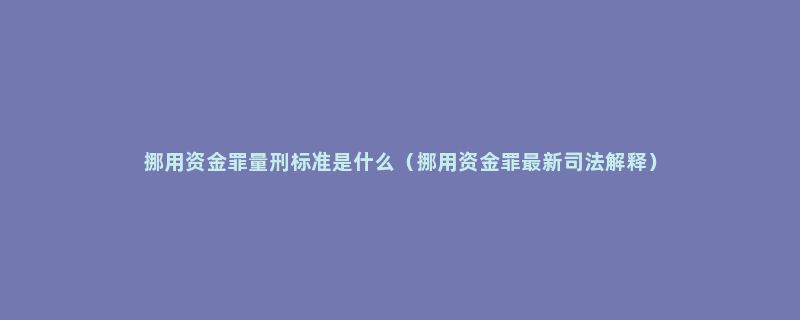 挪用资金罪量刑标准是什么（挪用资金罪最新司法解释）