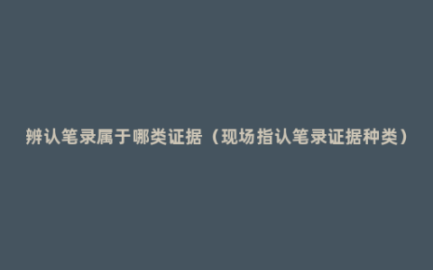 辨认笔录属于哪类证据（现场指认笔录证据种类）