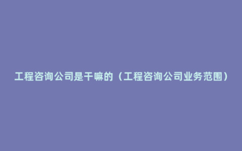 工程咨询公司是干嘛的（工程咨询公司业务范围）