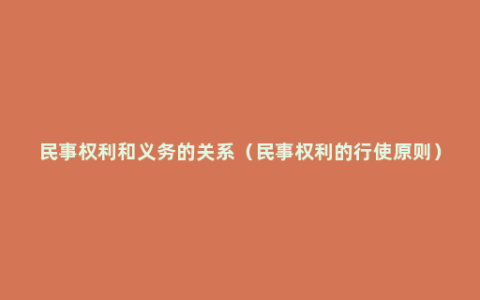 民事权利和义务的关系（民事权利的行使原则）