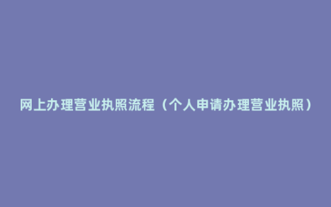 网上办理营业执照流程（个人申请办理营业执照）