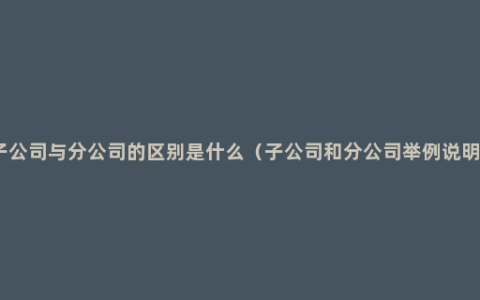 子公司与分公司的区别是什么（子公司和分公司举例说明）