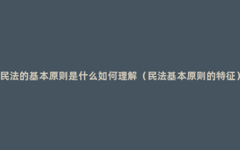 民法的基本原则是什么如何理解（民法基本原则的特征）