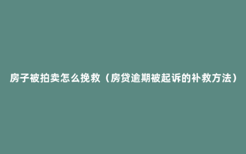房子被拍卖怎么挽救（房贷逾期被起诉的补救方法）