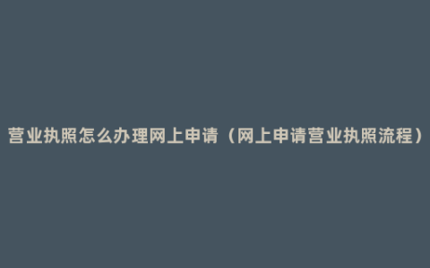 营业执照怎么办理网上申请（网上申请营业执照流程）