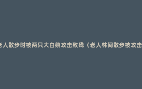 老人散步时被两只大白鹅攻击致残（老人林间散步被攻击）