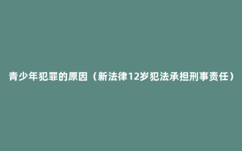 青少年犯罪的原因（新法律12岁犯法承担刑事责任）