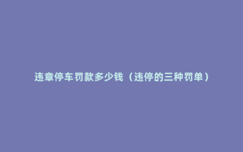 违章停车罚款多少钱（违停的三种罚单）