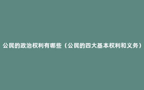 公民的政治权利有哪些（公民的四大基本权利和义务）