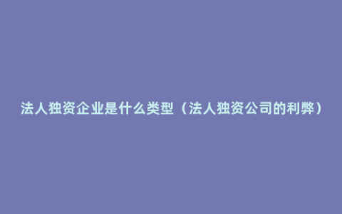 法人独资企业是什么类型（法人独资公司的利弊）