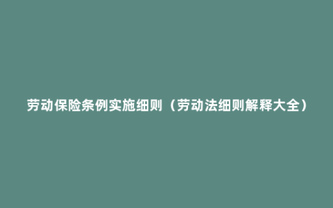 劳动保险条例实施细则（劳动法细则解释大全）