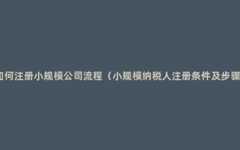 如何注册小规模公司流程（小规模纳税人注册条件及步骤）