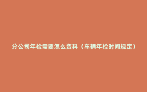 分公司年检需要怎么资料（车辆年检时间规定）