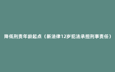 降低刑责年龄起点（新法律12岁犯法承担刑事责任）