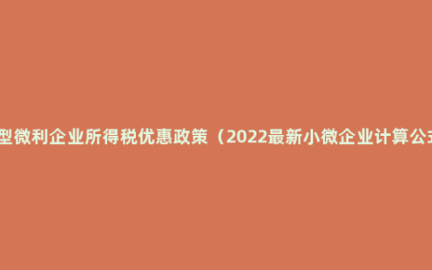 小型微利企业所得税优惠政策（2022最新小微企业计算公式）