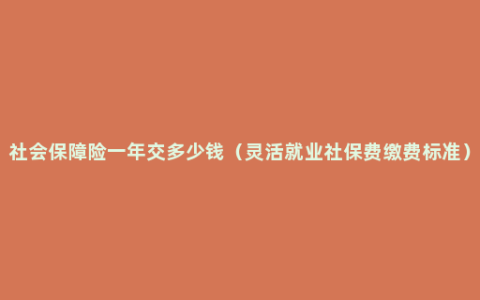 社会保障险一年交多少钱（灵活就业社保费缴费标准）