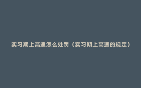 实习期上高速怎么处罚（实习期上高速的规定）