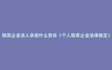 独资企业法人承担什么责任（个人独资企业法律规定）
