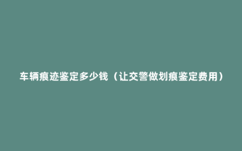 车辆痕迹鉴定多少钱（让交警做划痕鉴定费用）