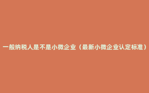 一般纳税人是不是小微企业（最新小微企业认定标准）