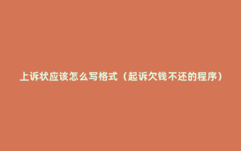 上诉状应该怎么写格式（起诉欠钱不还的程序）