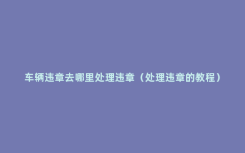 车辆违章去哪里处理违章（处理违章的教程）