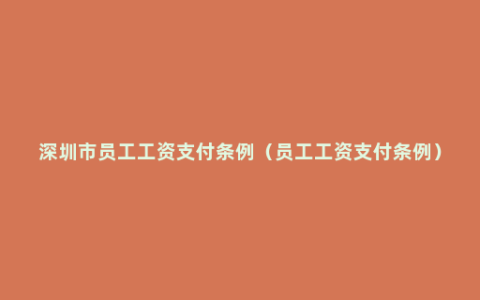 深圳市员工工资支付条例（员工工资支付条例）